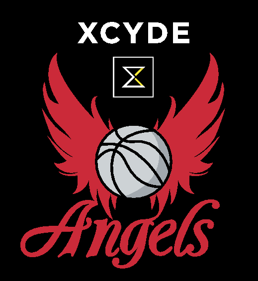 Angels - Basketball Bundesliga im BG Donau-Ries e.V. Logo